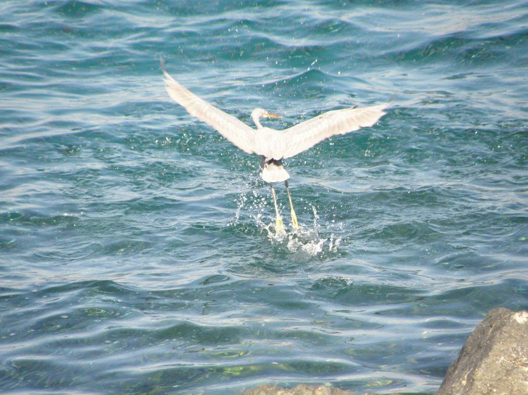 Инна Волкова | Санкт-Петербург