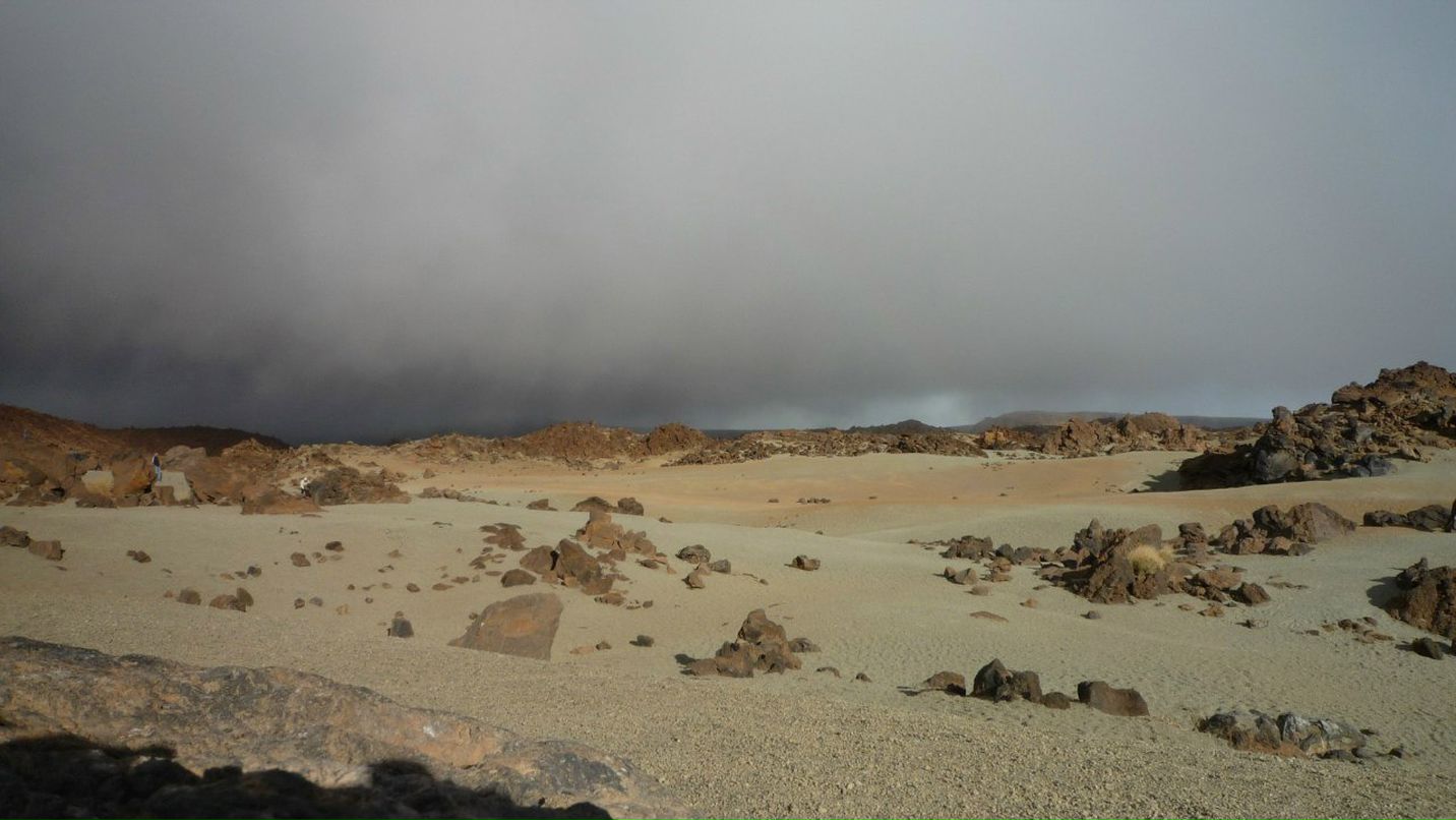 Илья Нестеренко | Санкт-Петербург