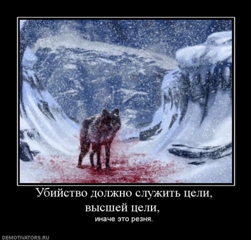 №13, Magomed Djumaev, Ростов-на-Дону №13, Magomed Djumaev, Ростов-на-Дону