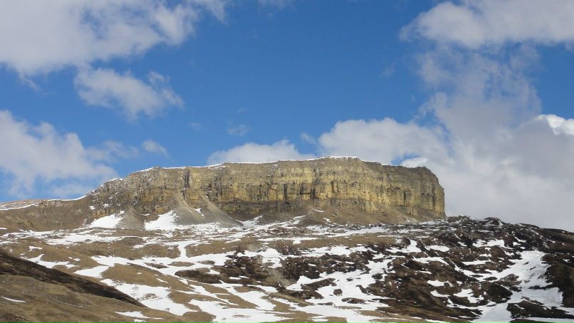 Виктория Боровик | Ростов-на-Дону