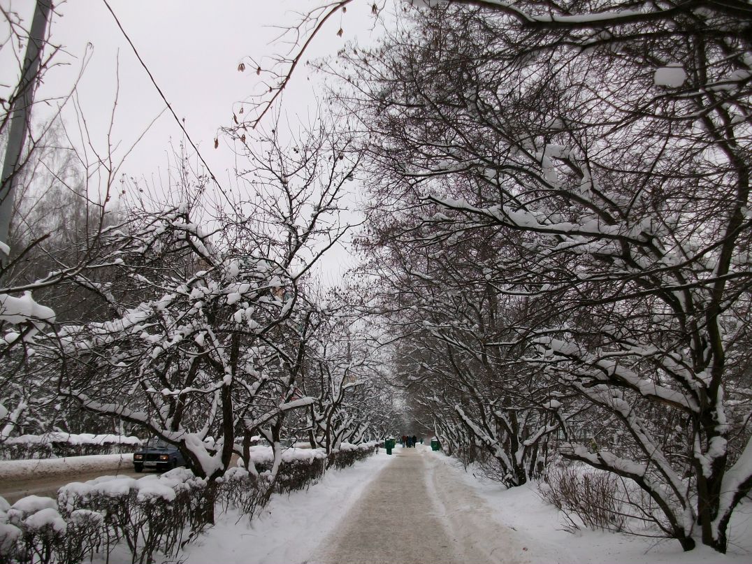 Анастасия Ноздрина | Москва