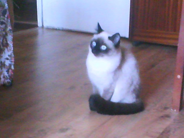 Мария Ткачёва | Казань