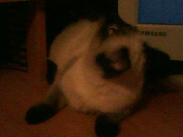 Мария Ткачёва | Казань