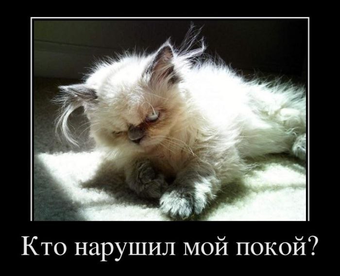 Павел Лопатин | Москва