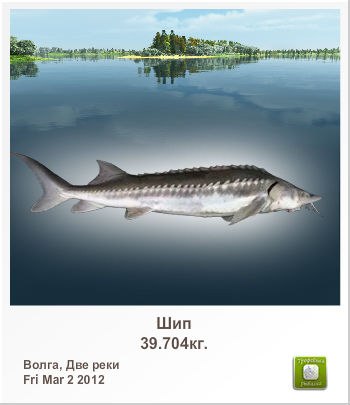 Roman Bobrik | Донецк