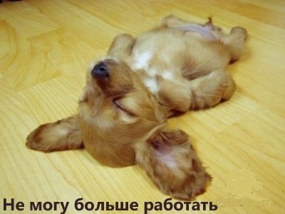 Лана Миронова | Москва