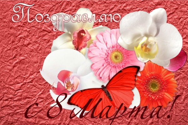 №88, Алёна Рощупкина, Тверь №88, Алёна Рощупкина, Тверь