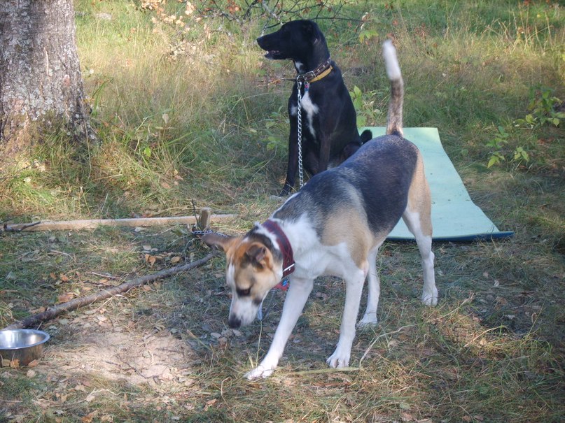 Валерий Волков | Судиславль (пгт)
