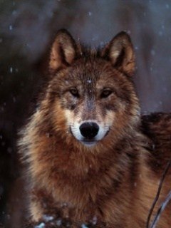 Даша Данилова | Санкт-Петербург