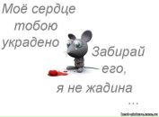 Фотография Tosha Komyagin