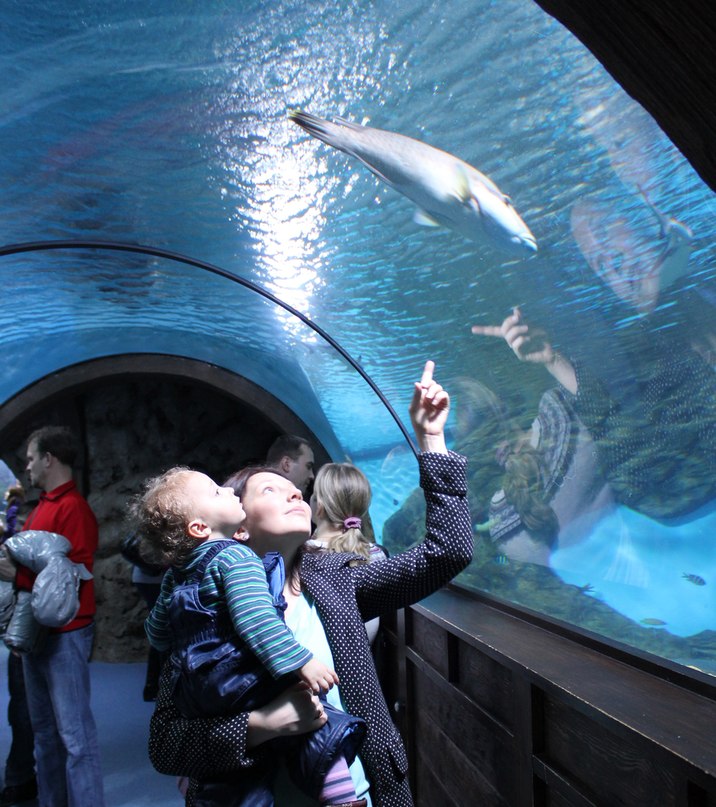 Евгения Бацанина | Москва