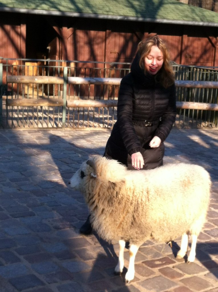 Дария Волынская | 