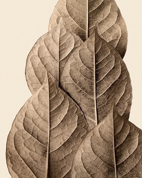 Денис Батовский | Киев