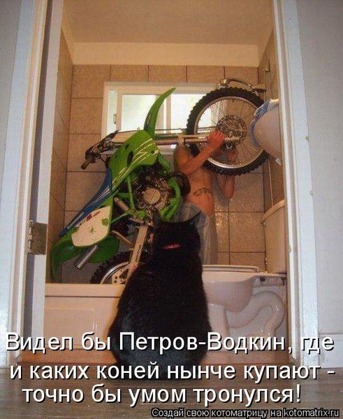 Ирина Грудка | Шклов