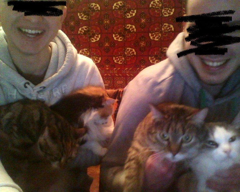 Алексей Иванов | Запорожье