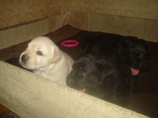 Анастасия Польская | Москва