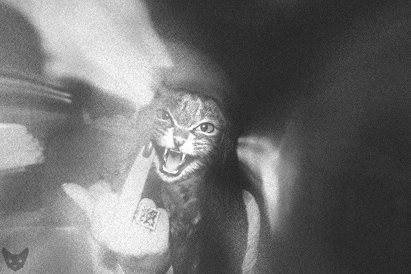 Ксюшка Ложешникова | Луганск