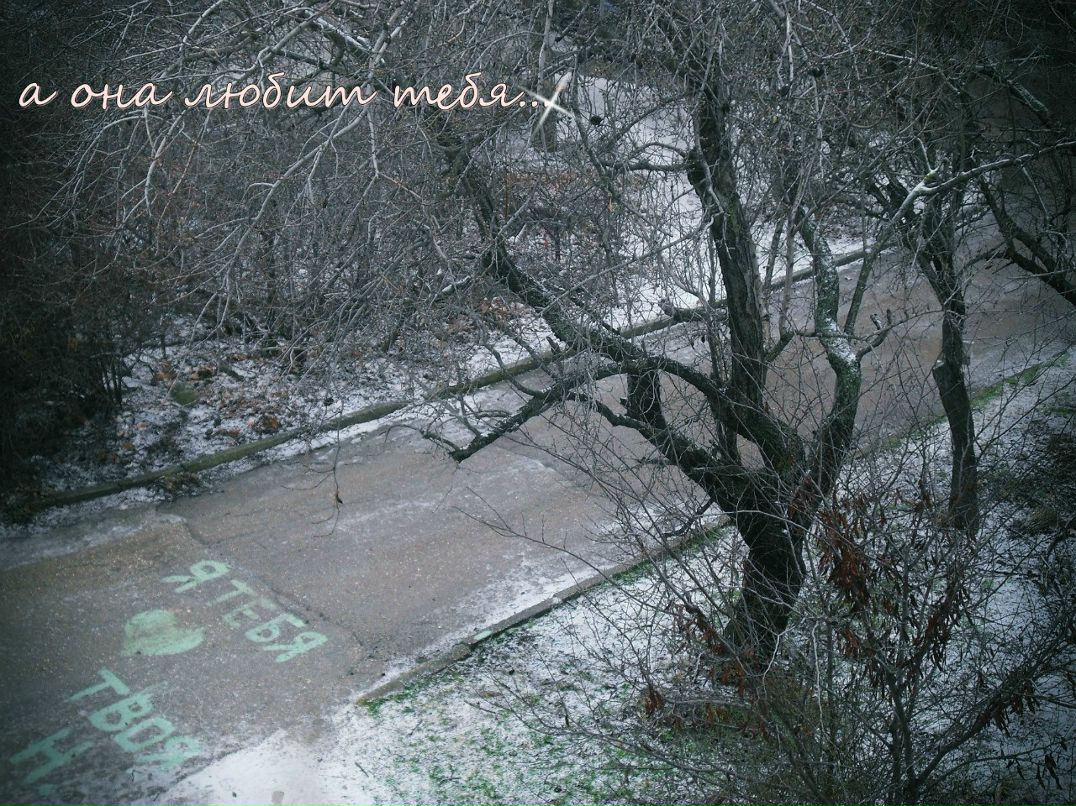 Катенька Кодик & | Севастополь