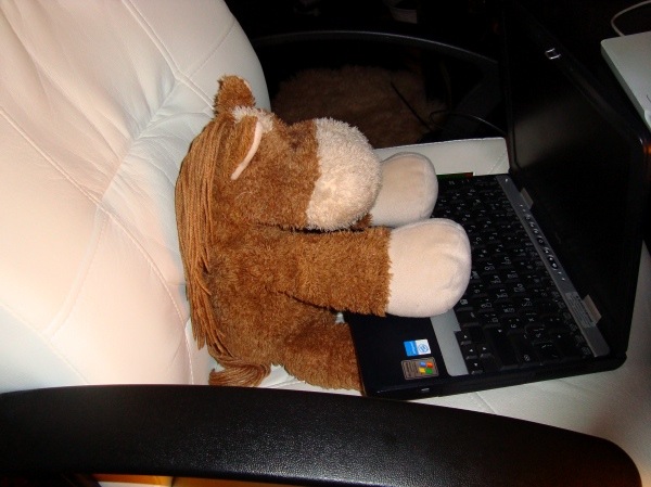 №122, Александр Иванов, 43 года, Düsseldorf №122, Александр Иванов, 43 года, Düsseldorf