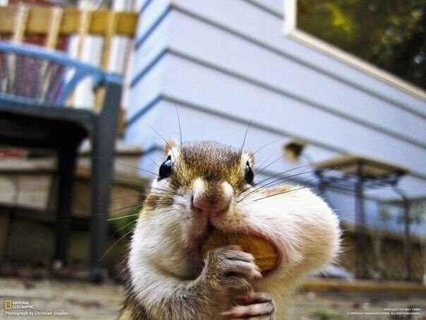 Гера Уточка | Санкт-Петербург