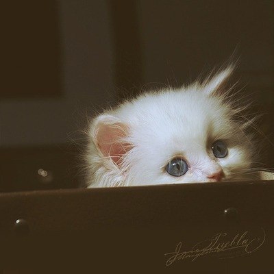 Екатерина Белобородова | Екатеринбург