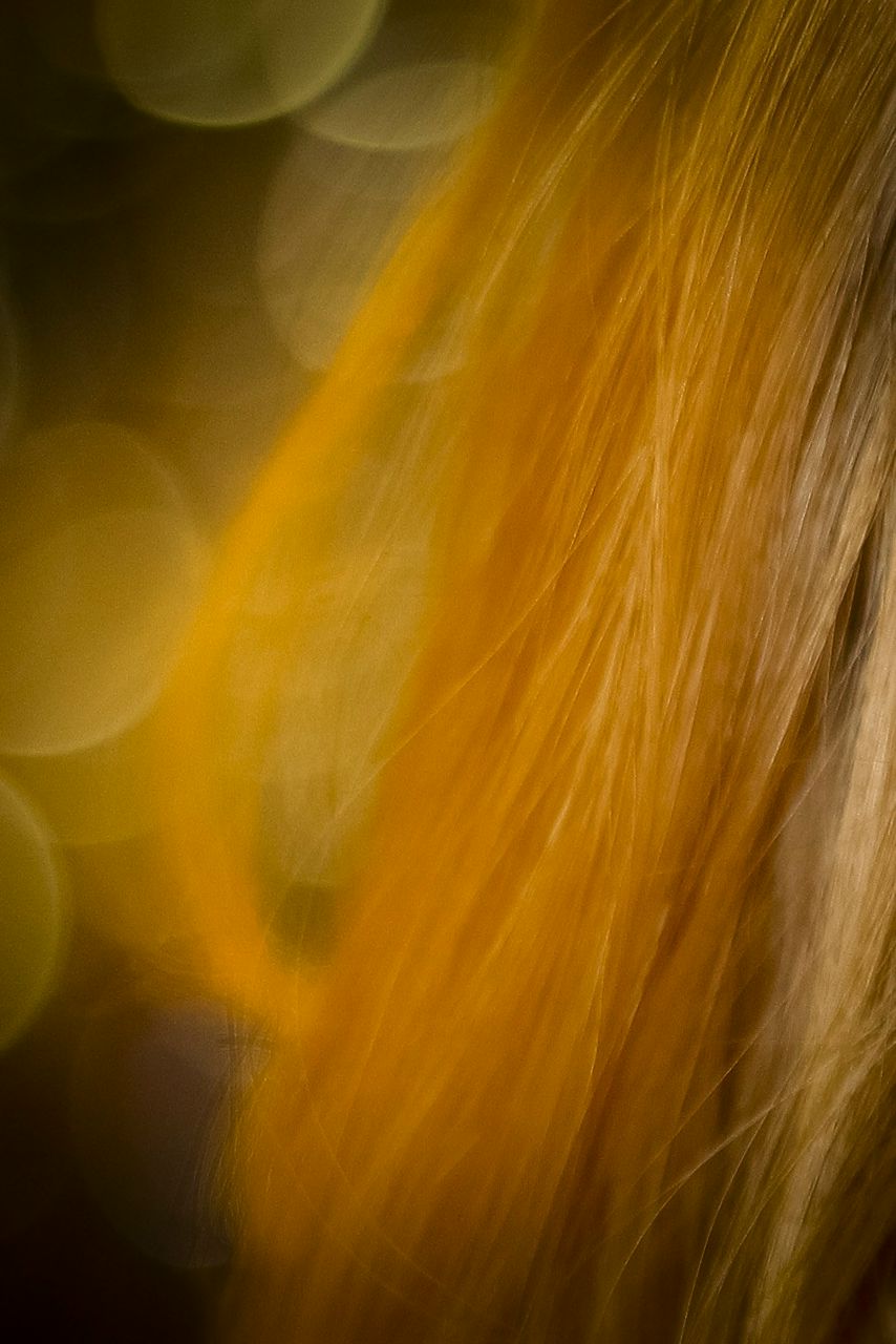 Ir Ris | Санкт-Петербург