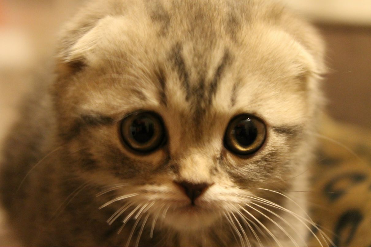 Алина Татаринцева | Екатеринбург