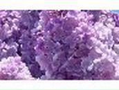 Нина Хайруллина | Краснокамск