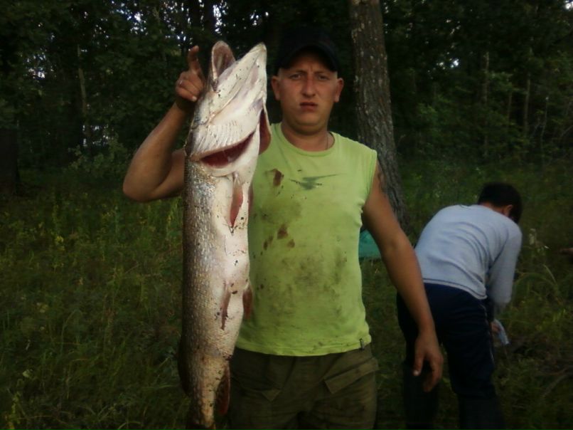 Денис Золотарёв | Вятские Поляны