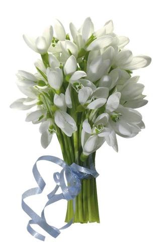 №79, Алёна Зингаева, Сургут №79, Алёна Зингаева, Сургут