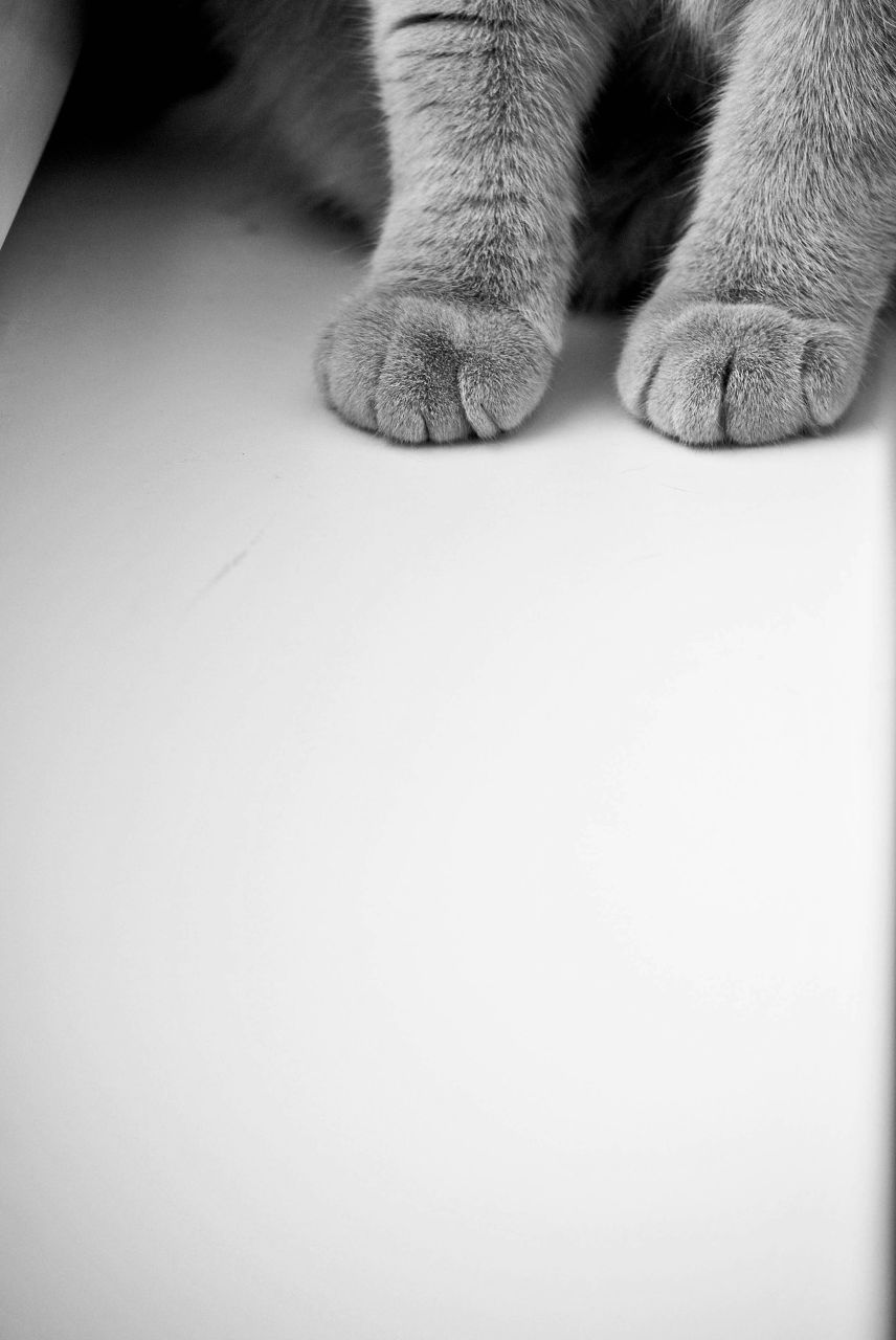 Ольга Белотуркина | Москва