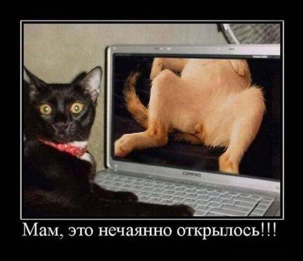 Stepan Alexandrovich Сиплый (Юго-Запад) | Москва