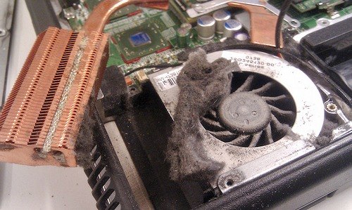 Максим Вигилев | Черновцы