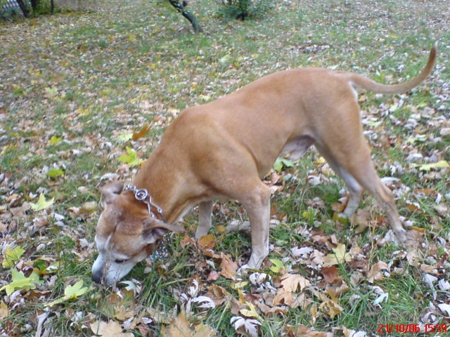 Руслана Гринькова | Киев