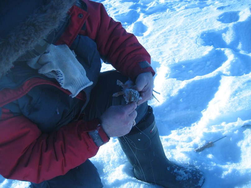 Лена Баталова | Сургут