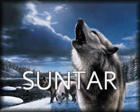 №19, Альберт Протопопов, 37 лет, Санкт-Петербург №19, Альберт Протопопов, 37 лет, Санкт-Петербург