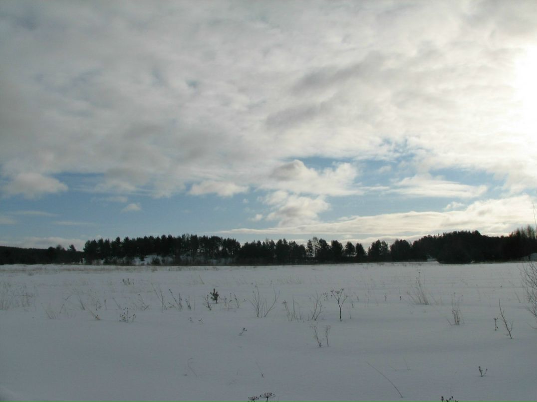 Любовь Васильева | Санкт-Петербург