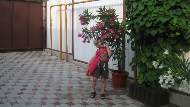 Светлана Ухина | Брянск