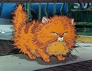 Татьяна Кудряшова | Донецк