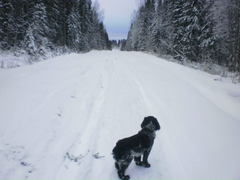 Сергей Митюшин | Санкт-Петербург