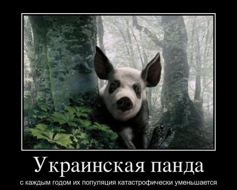 Сергей Третьяк | Орша