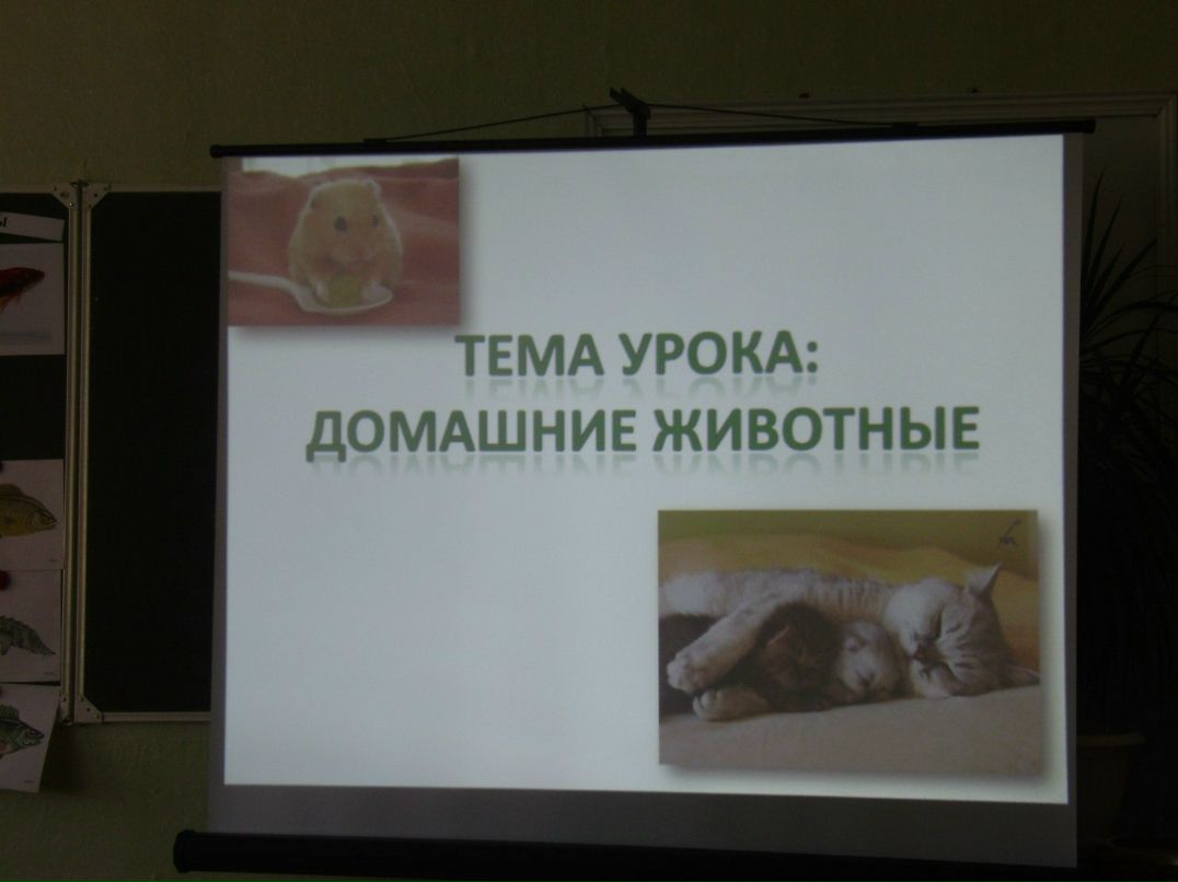 Альфия Галиева | Альметьевск