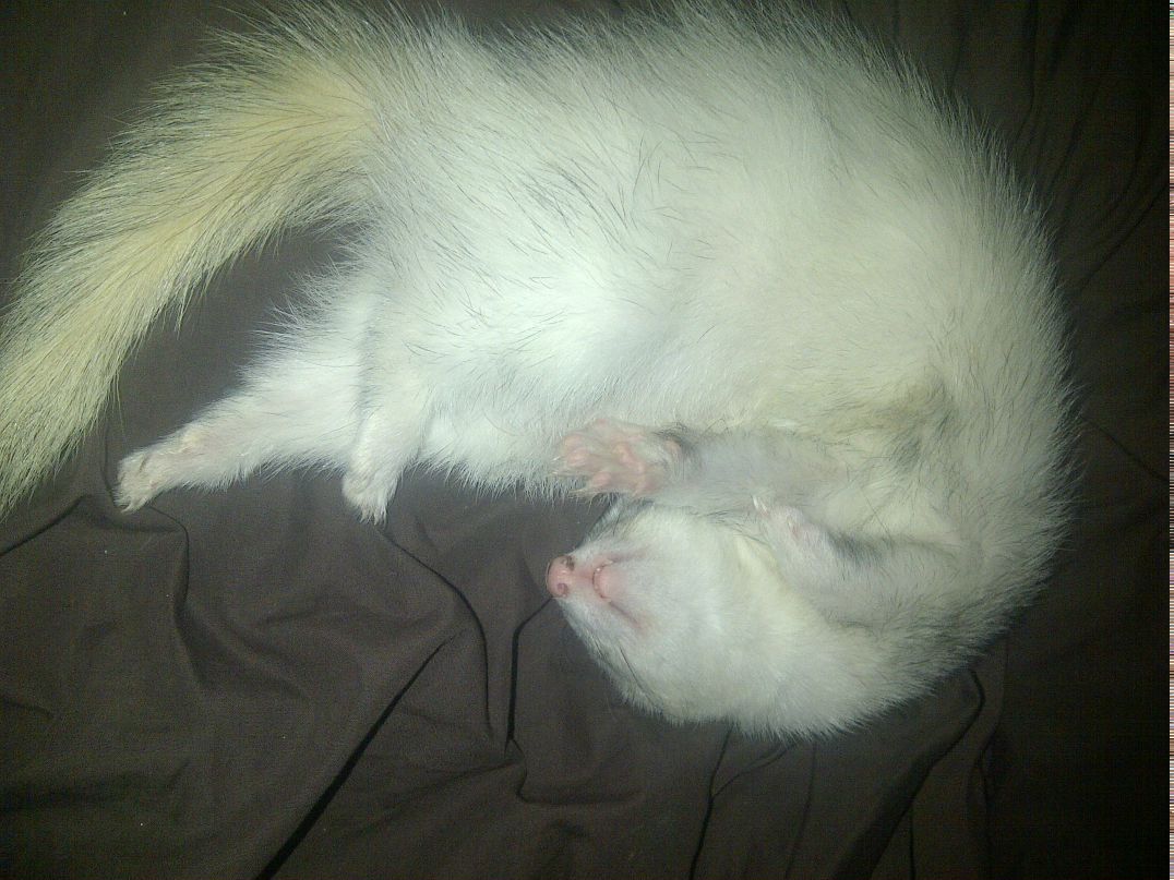 Anna Gordiyevska | Richmond Hill