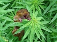 Никита Николаев | Москва