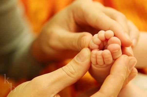 Сергей Дайнеко | 