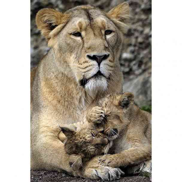 Марина Стрепетова | Новосибирск