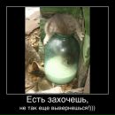 №37 Страница Тимур Богуславский 30.04: анкета, фото, подписчики | ВКонтакте