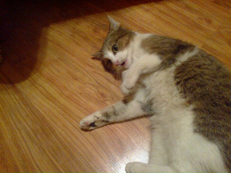 Марина Самборская | Wien