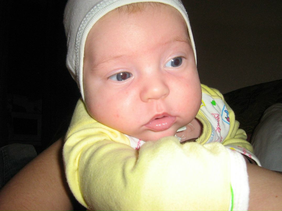 Микола Горошко | Львов