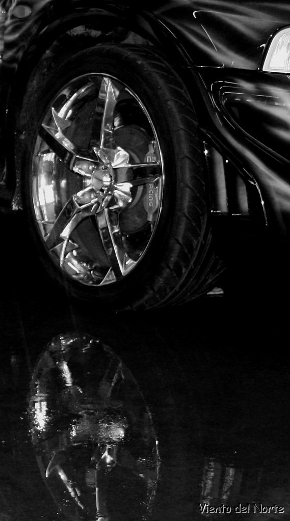 Евгения Ващенко | Санкт-Петербург